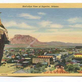 080818az007