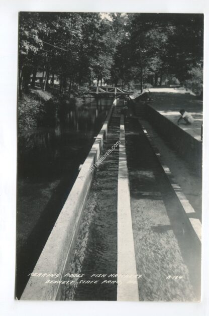 110318mo035