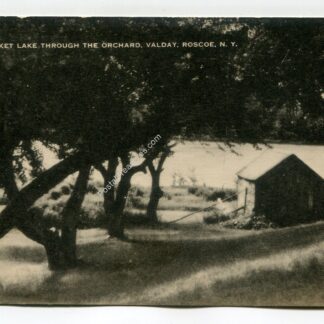 Basket Lake Roscoe New York