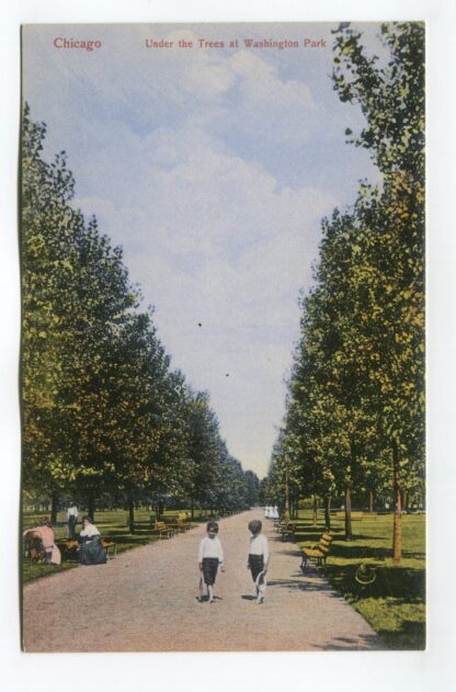 080323il043