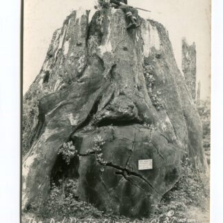 050224ca047